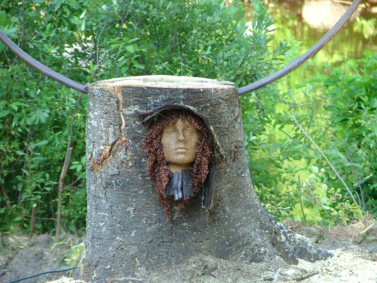 dscf0974.jpg